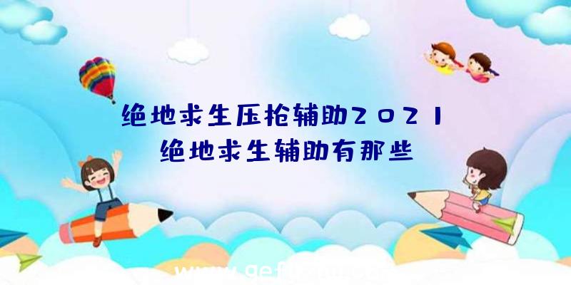 「绝地求生压枪辅助2021」|绝地求生辅助有那些